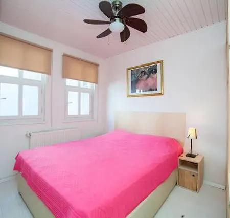 Private House With 4 Separate Apartments-for Families & Friend Groups ヴィラ イスタンブール