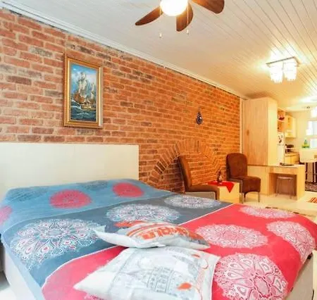 Private House With 4 Separate Apartments-for Families & Friend Groups ヴィラ イスタンブール