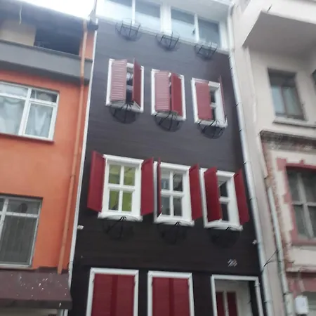 Villa Private House With 4 Separate Apartments-for Families & Friend Groups Istambul