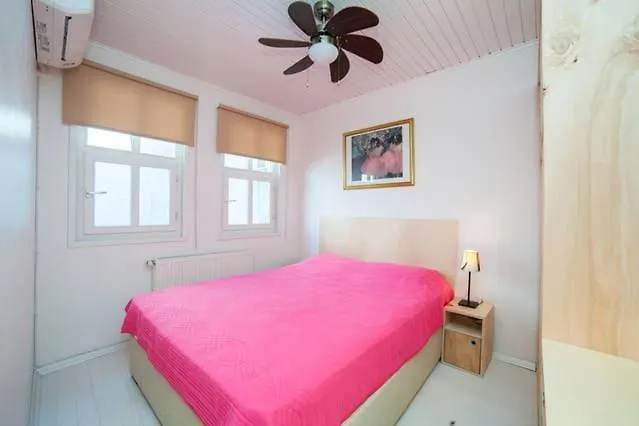 Private House With 4 Separate Apartments-for Families & Friend Groups Villa Istanbul